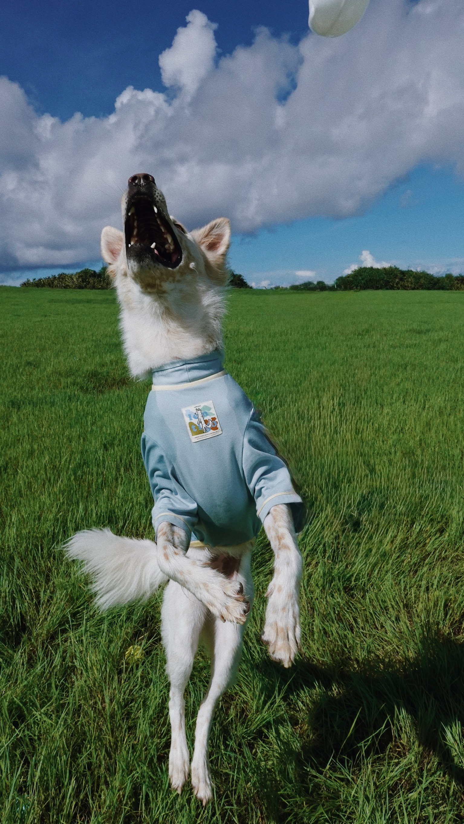 50FC0C68-D7F0-4507-8C8A-6E022E0A39C8