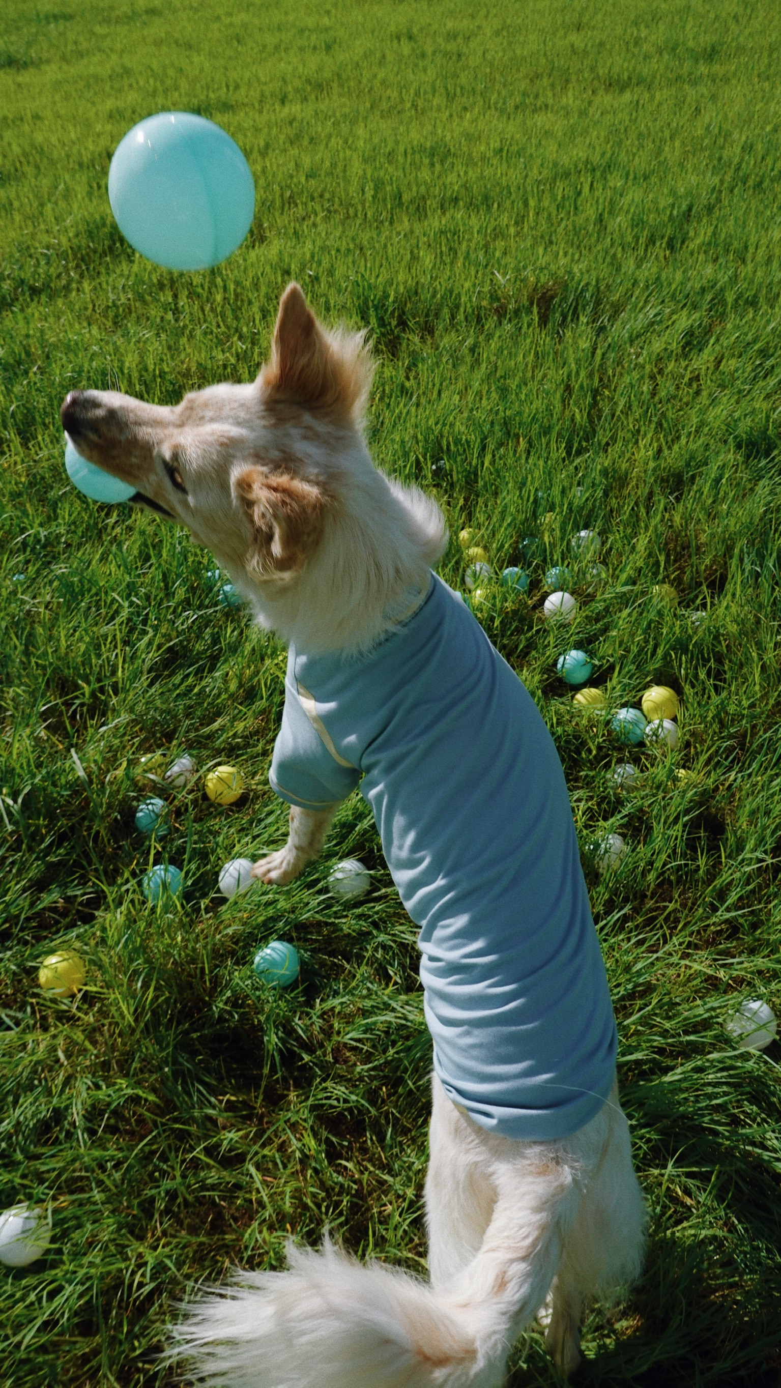 215E61C7-3AD9-4B6D-B848-AC36132F30FE