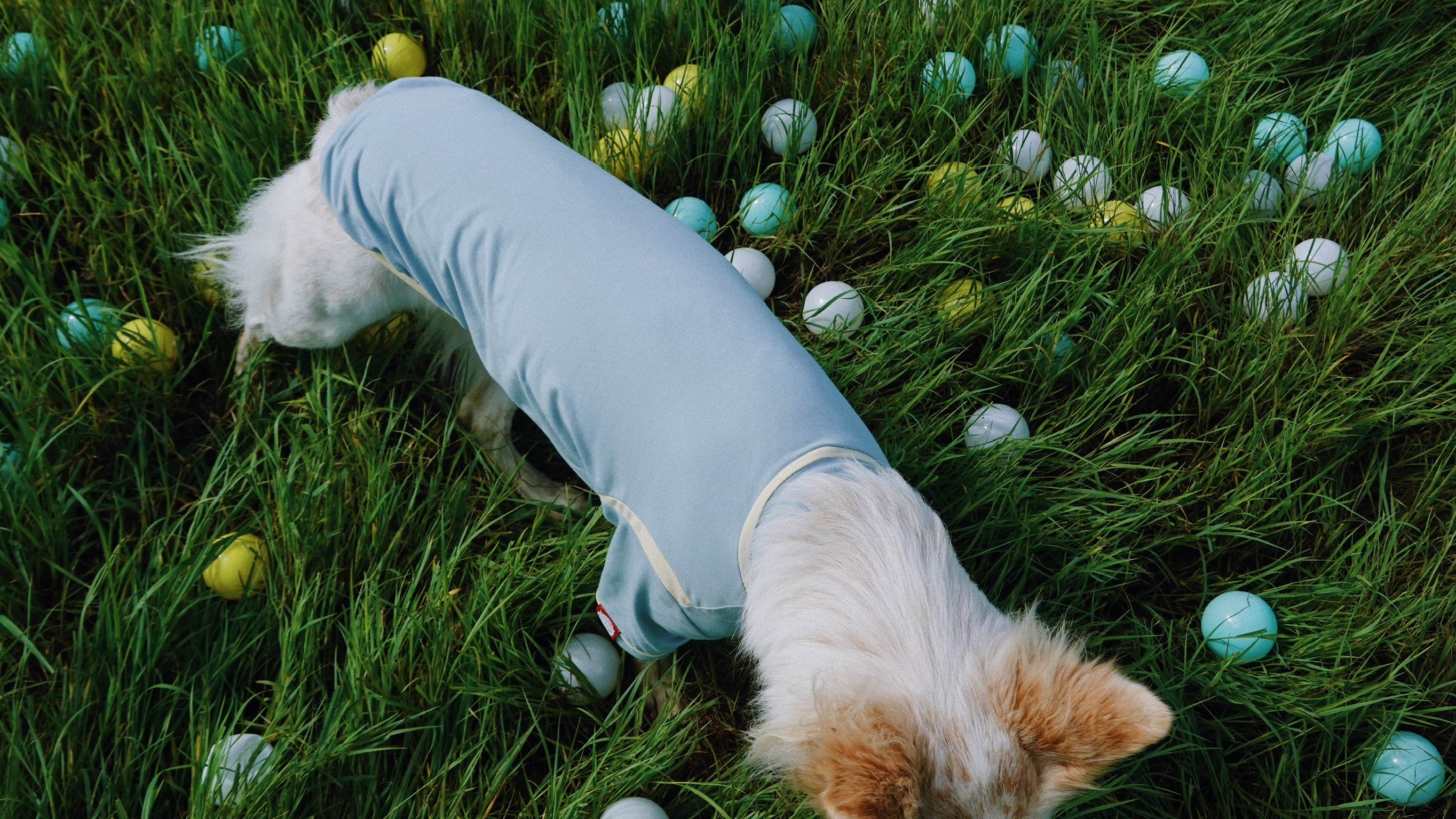 BEBE8731-33B7-41E5-95E1-BF80B9AA0C12