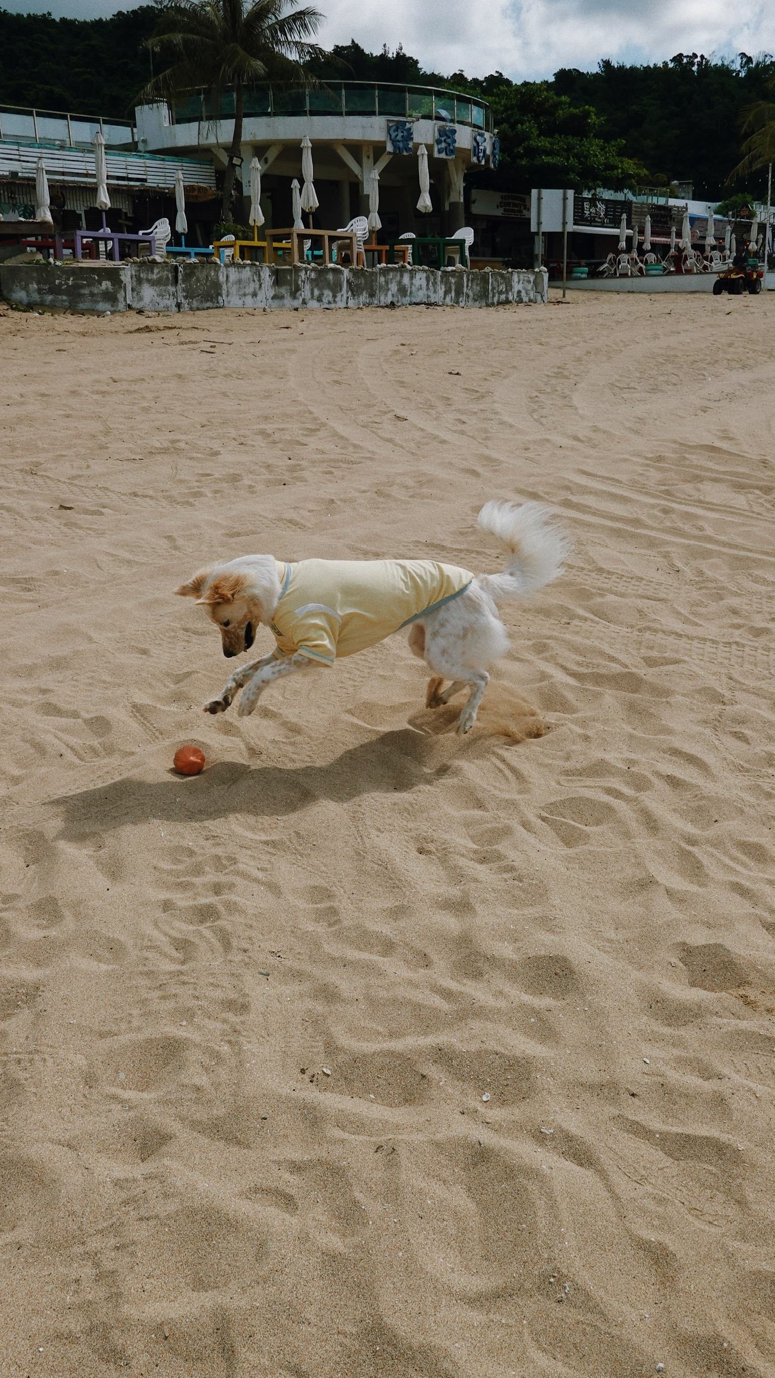 C8E6C242-85F0-4880-A3A3-B68AA5FE6925