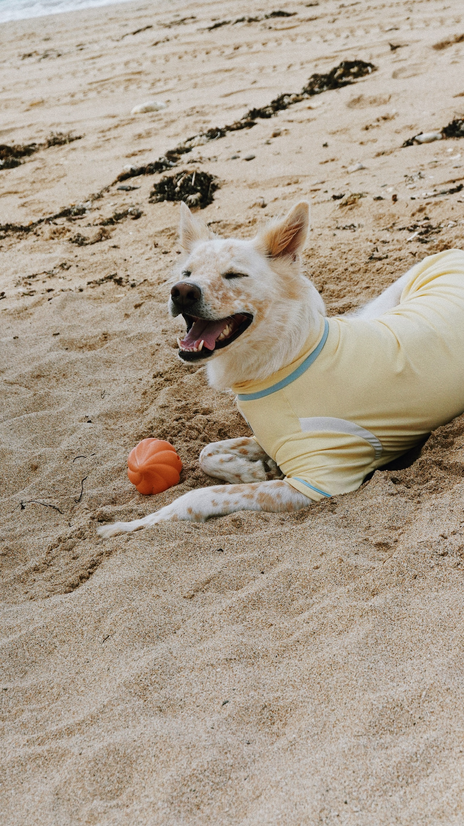 DC19F824-0456-43C4-8124-A1D171EE2190