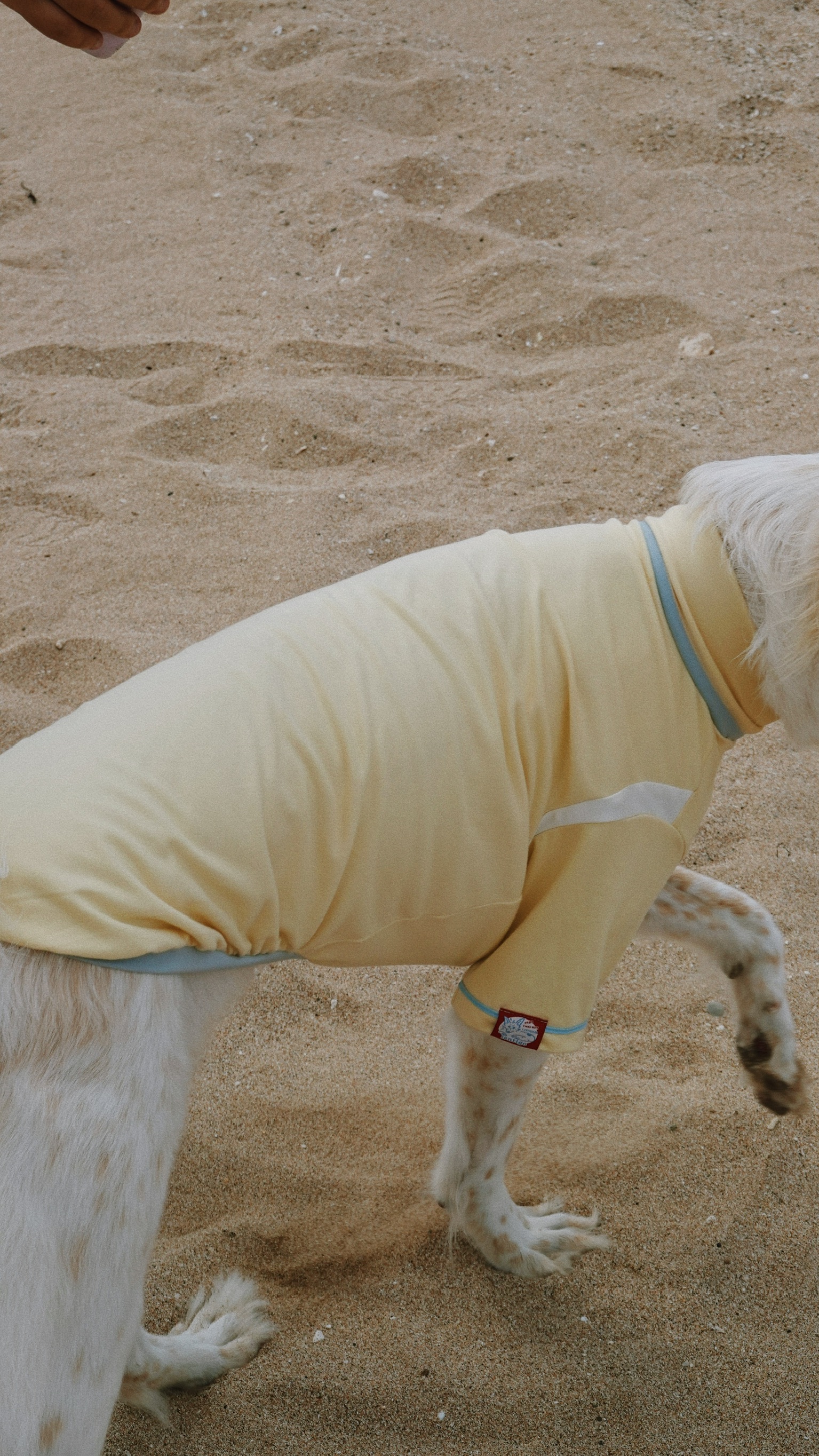 AA29FC1F-0F6F-4774-ACD3-390E08D8986C