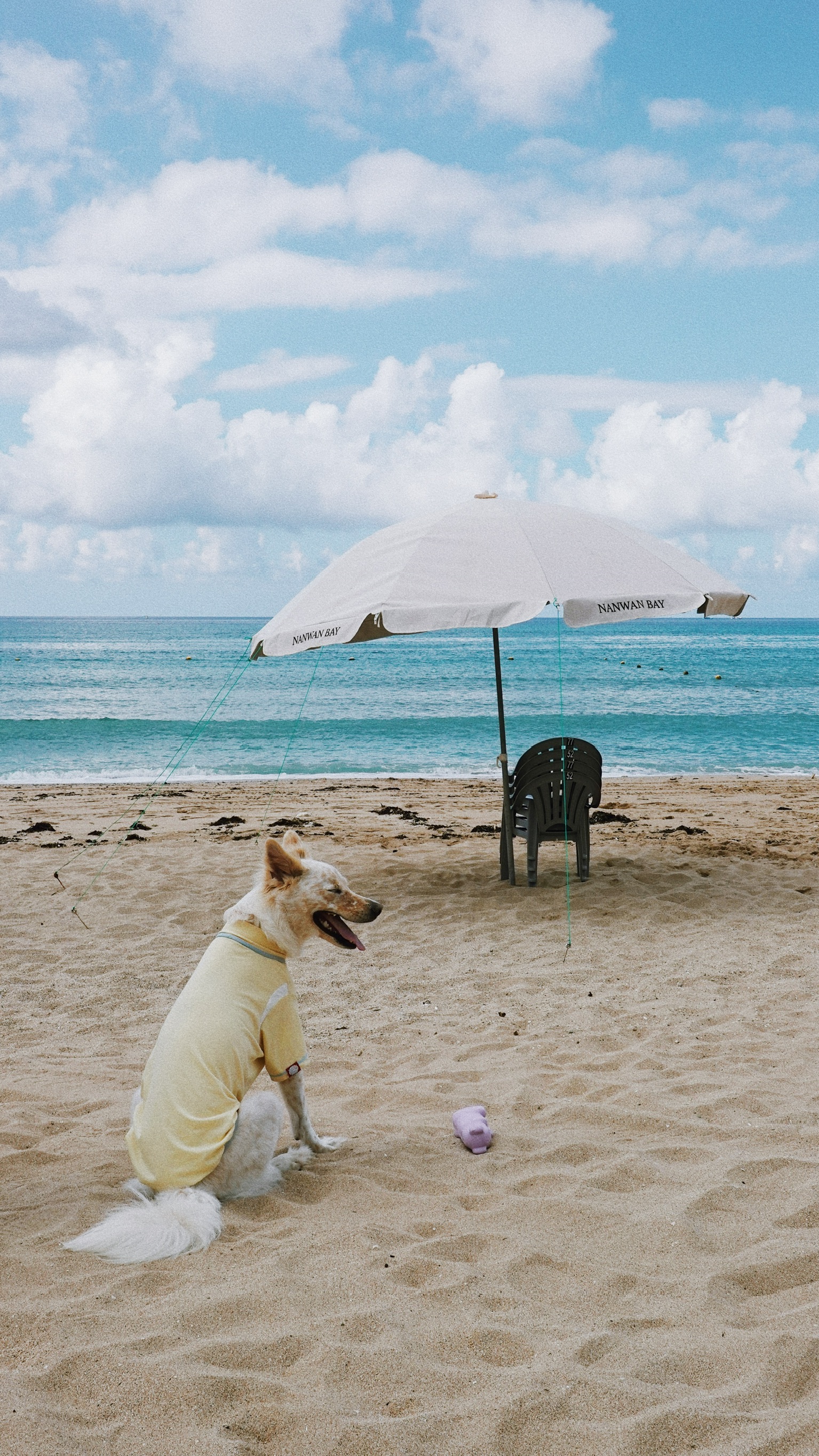 3C72C969-20A7-40C7-9BB8-B69B7DC9A1B9