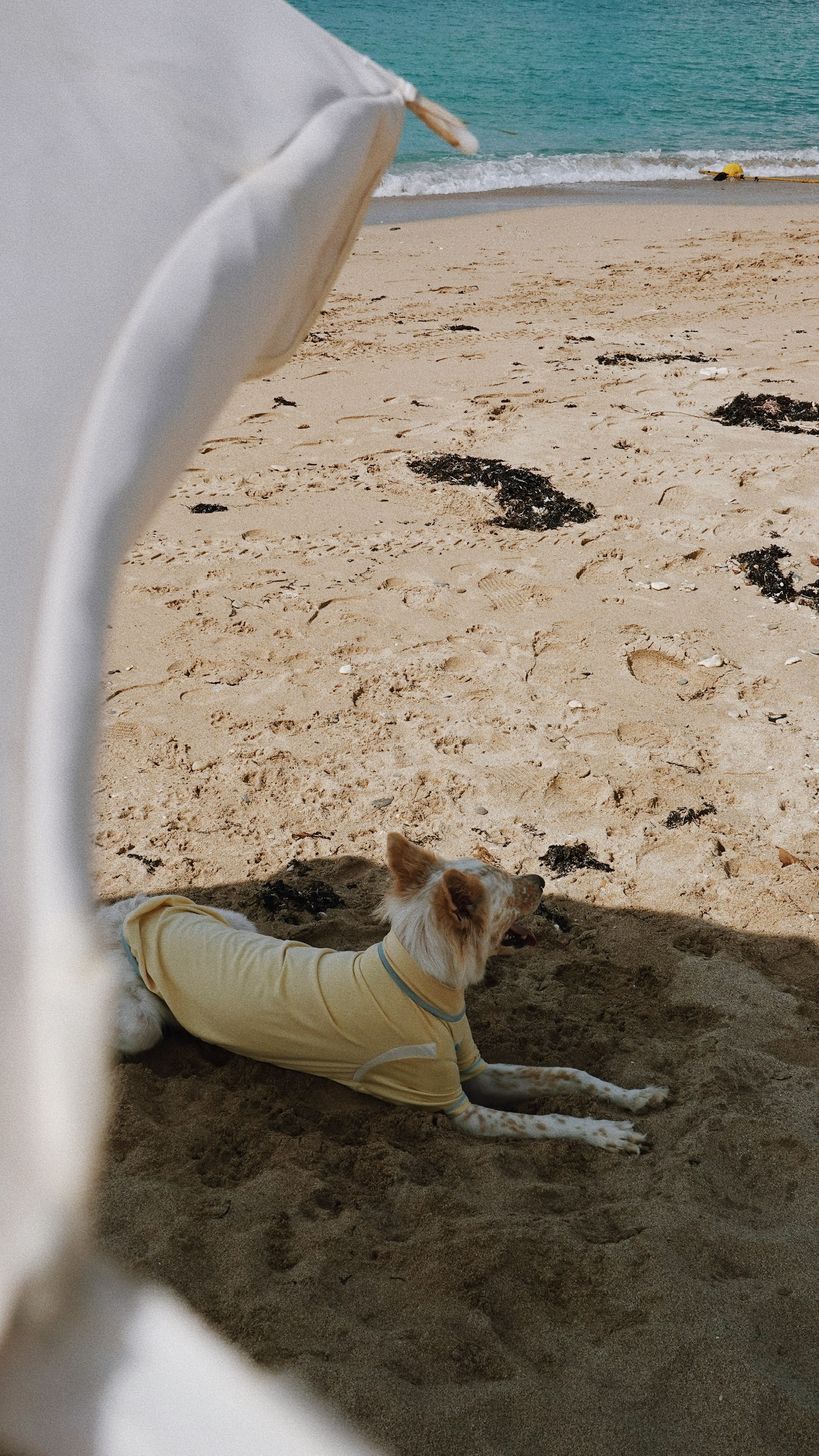 2179A67D-1556-456C-B406-81FC8DBA0241