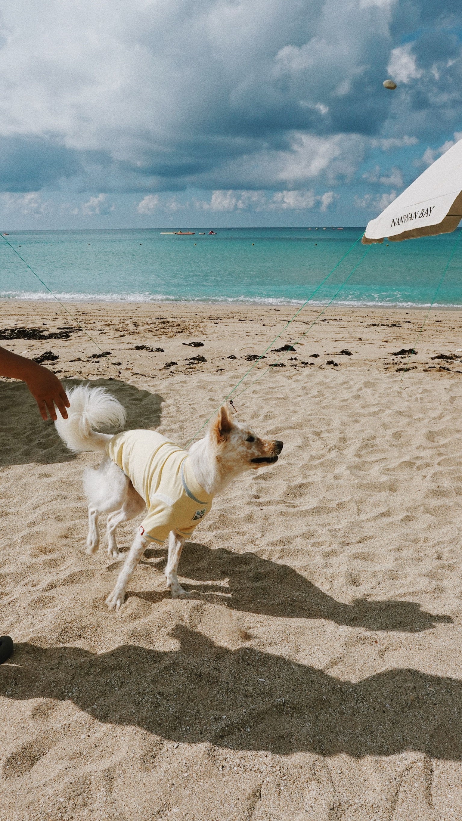 EF81D37B-AEE5-4551-9000-EA49990A6ACD