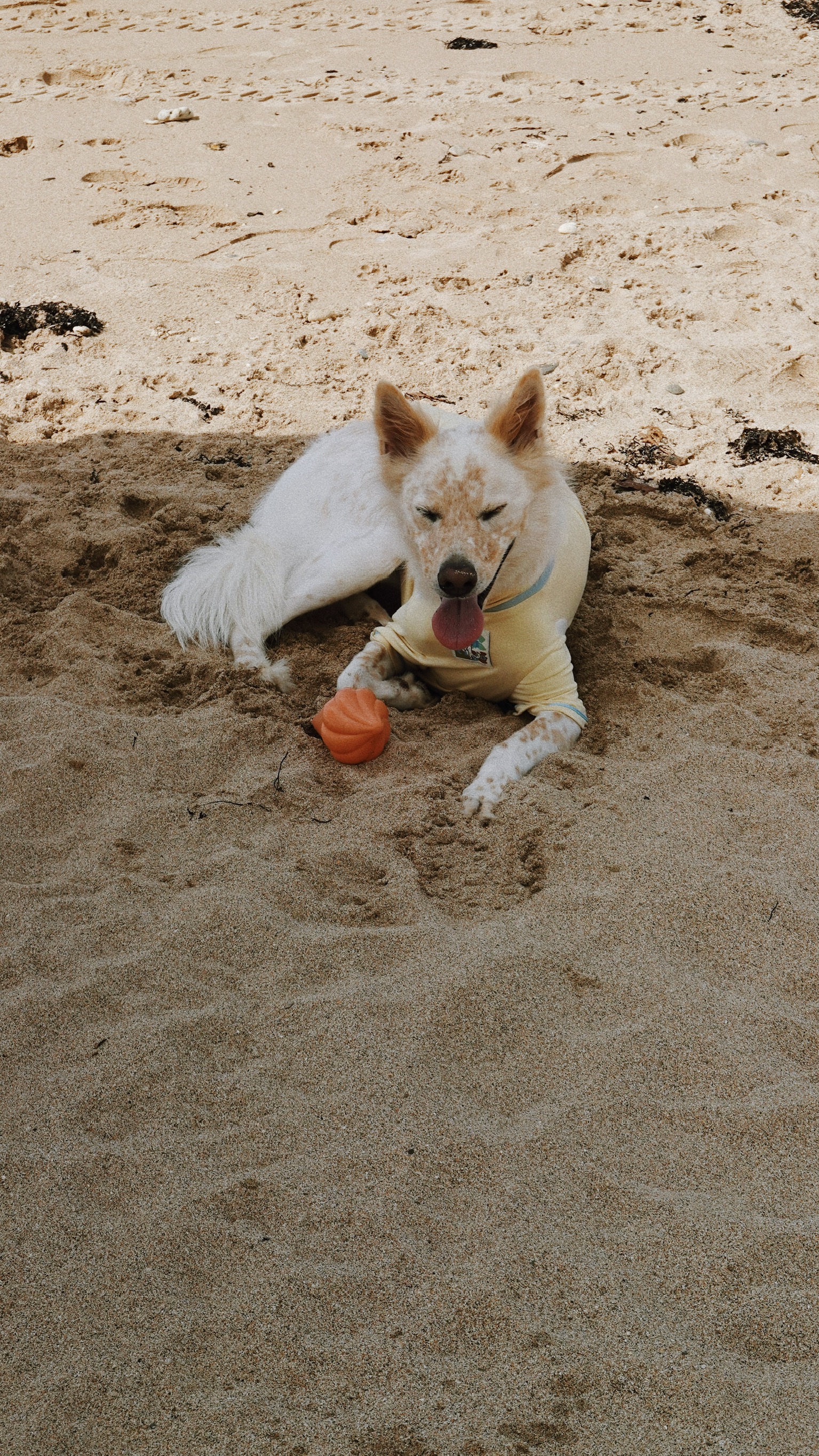 9EBEC82F-69DC-4254-B8BD-E873DC6FD0D8