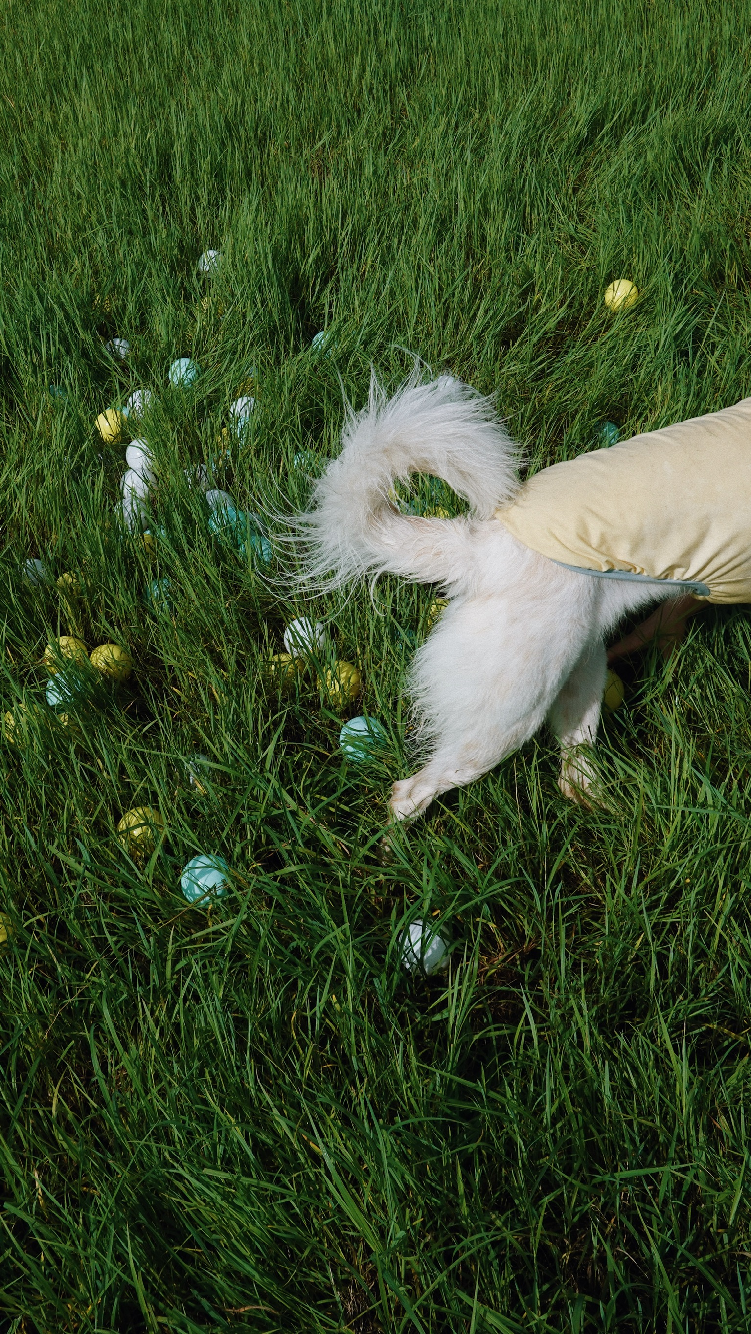 0BE31D1B-950D-4782-ACB8-A962656F2316