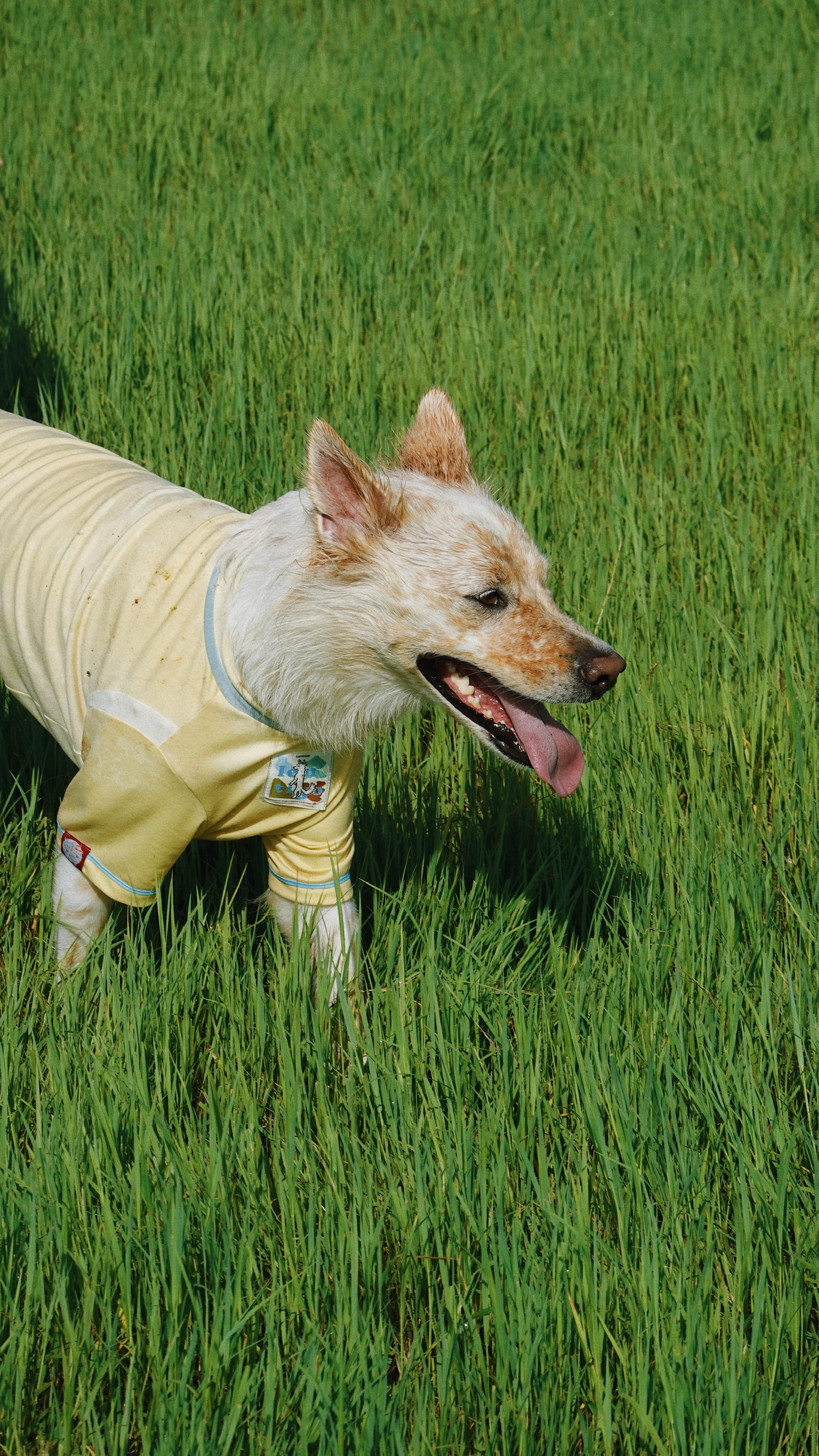 DC9F83BD-7E33-4AC8-96FF-39453014D0D2