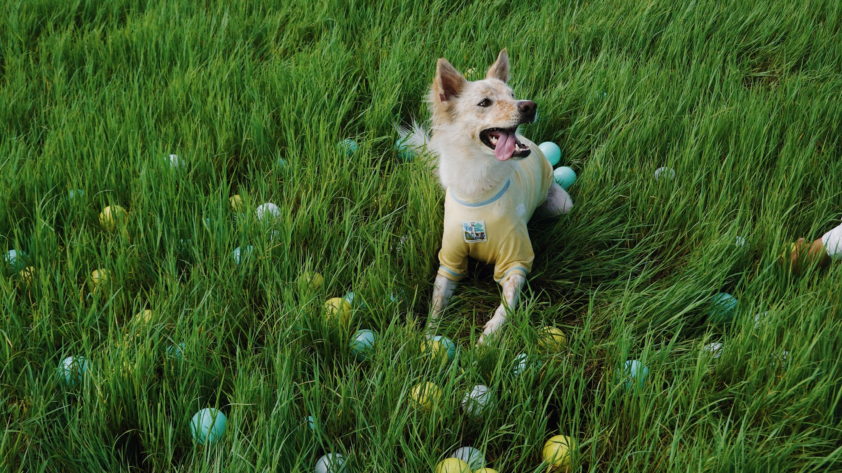 2046C5C7-8A14-499C-8B74-EA04CD9AD0FB