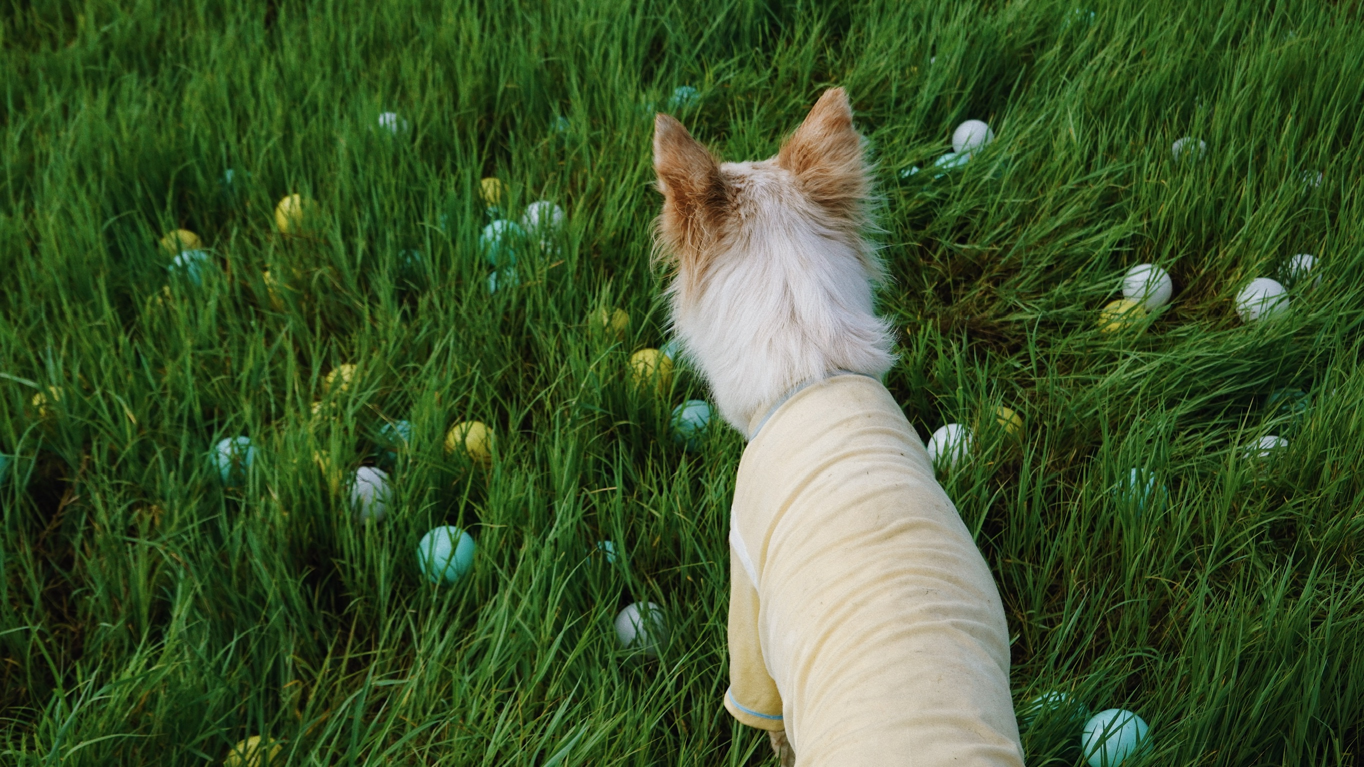 455B6715-66E1-4251-8C96-D730E67B771E