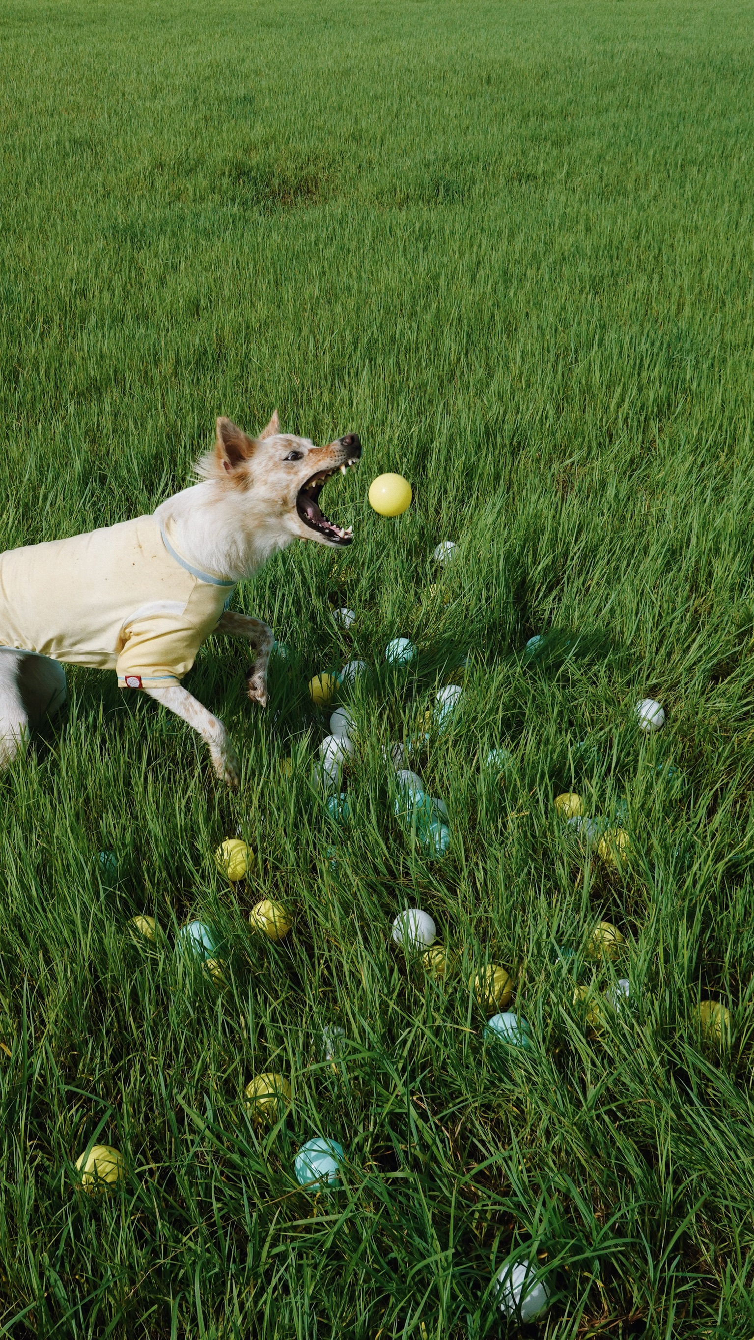 48D9F2AD-3A83-4AB6-89E3-6E4DD97DF68F