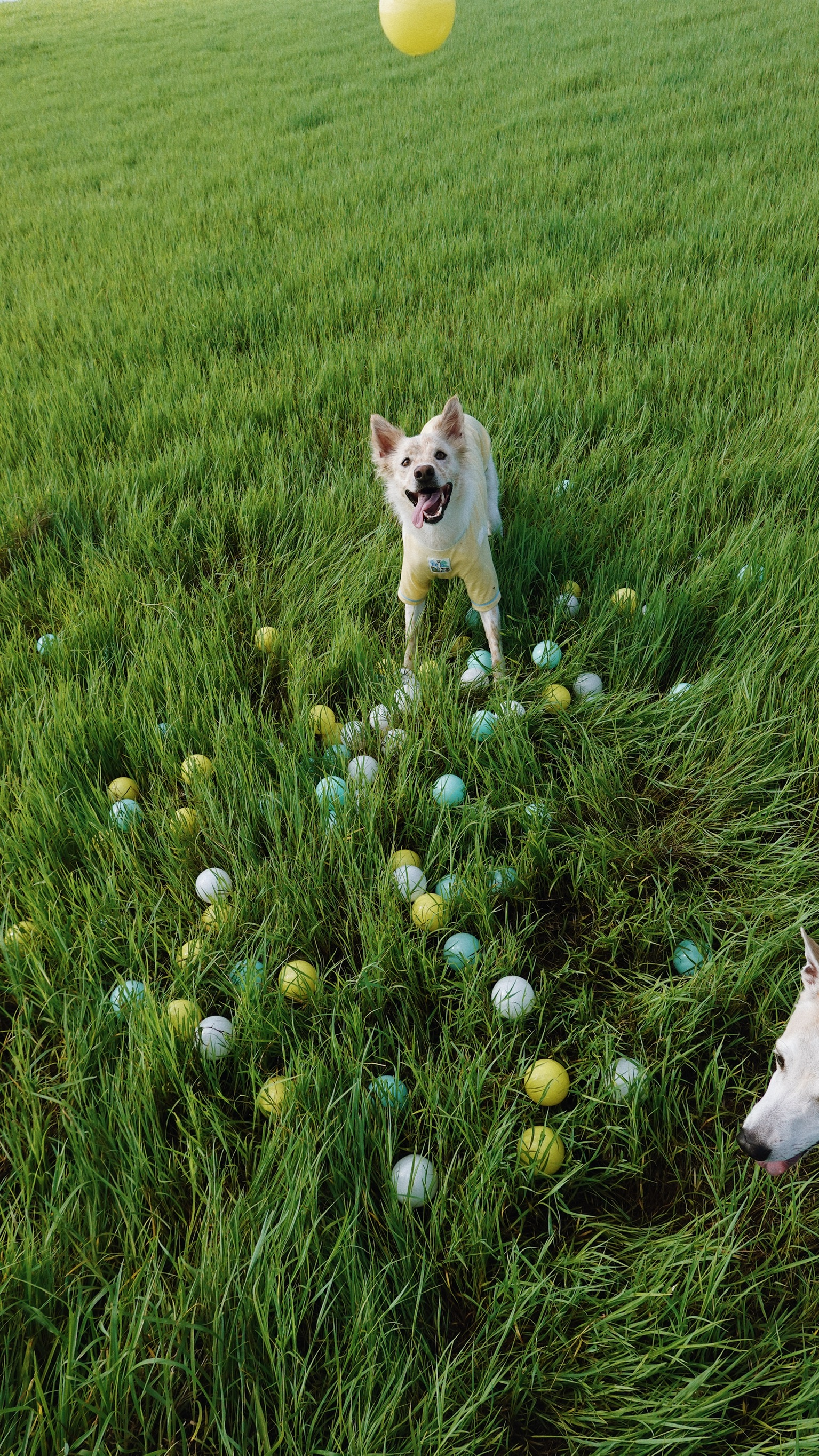 ECEDDDC7-4BA0-4136-8A45-C776EB613380