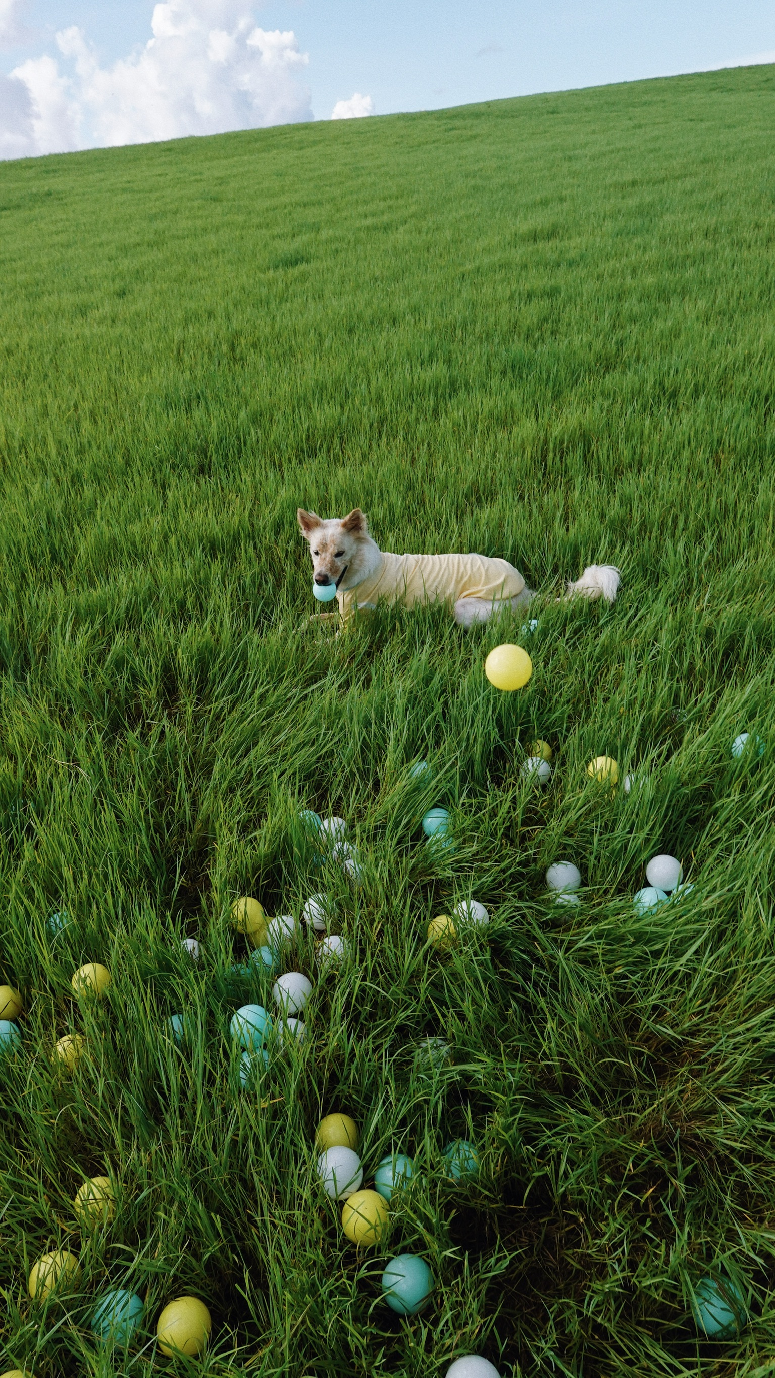 8CF44417-696B-4A4E-A321-BA28B7971FE0