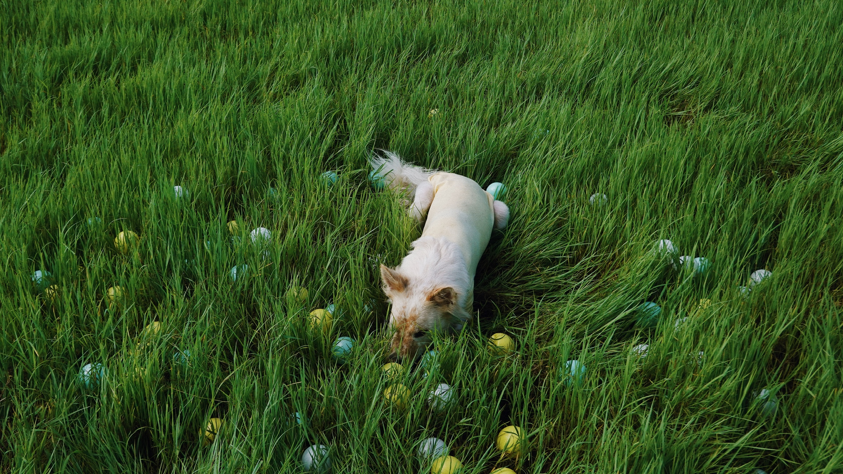 B0C46880-2B08-455A-99BC-874529BA52A6