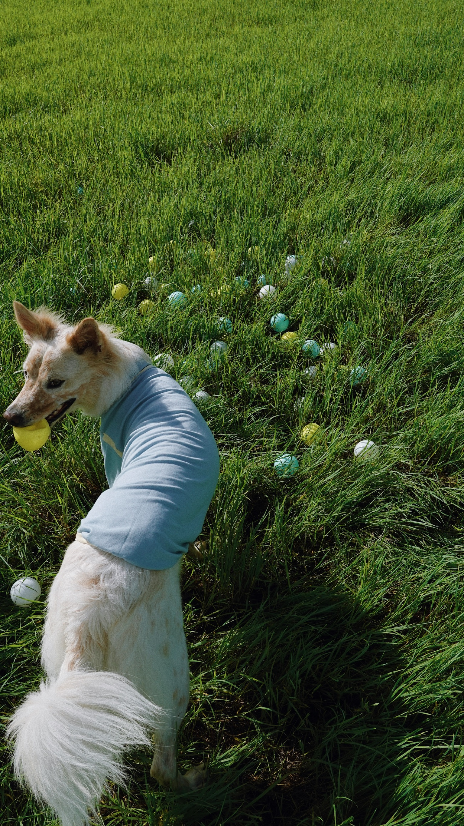 F1D5DC54-14C4-4C6B-9C23-E17BC90CBAF8