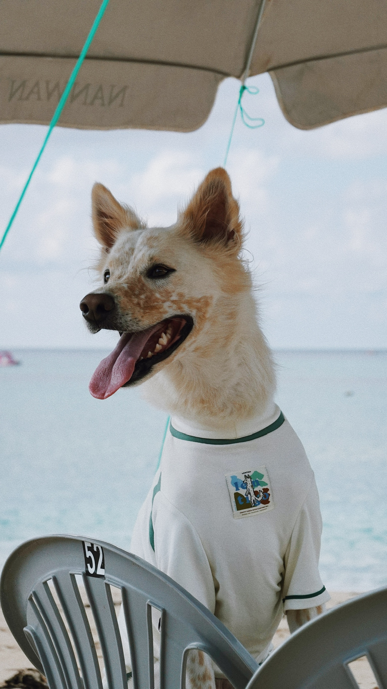 ACFAD76D-EE90-4604-910C-3507967413C7