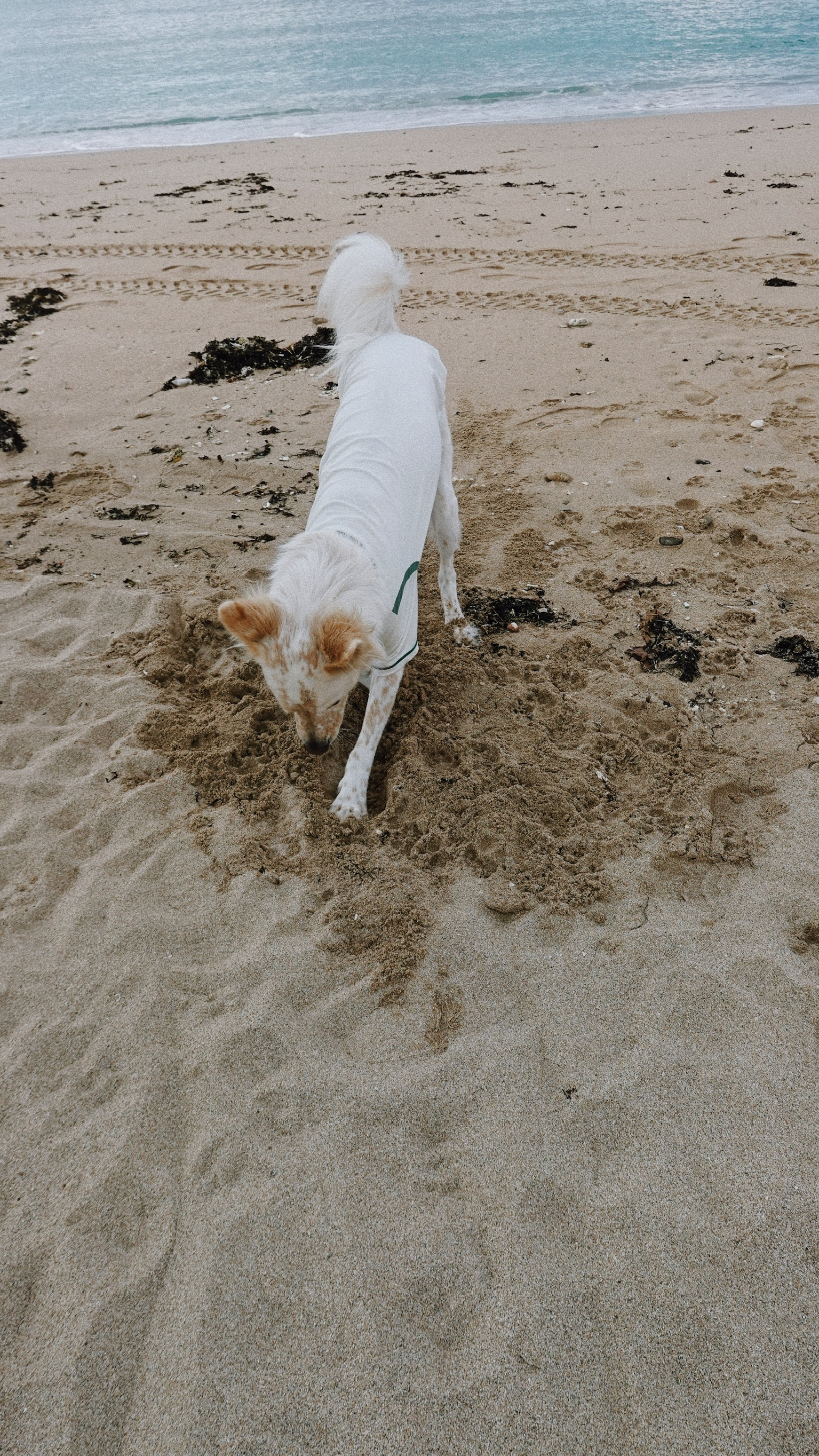 CF758A34-0D4F-4455-8640-2FB0B81EB12A