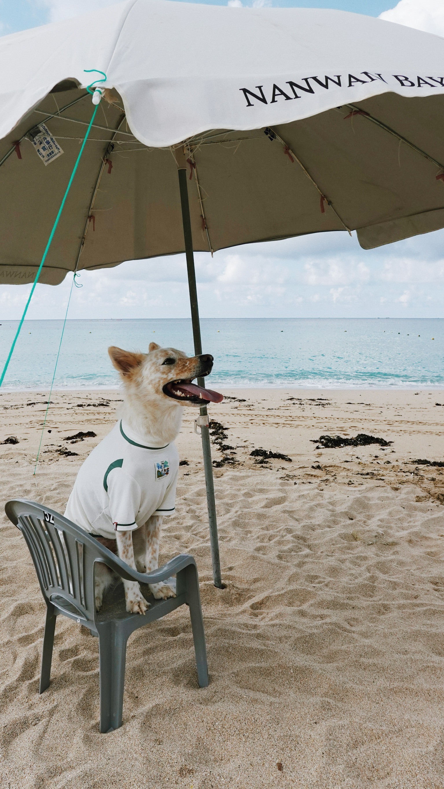 6DCC078B-DE4D-4368-936B-9DF6E56B9C3B