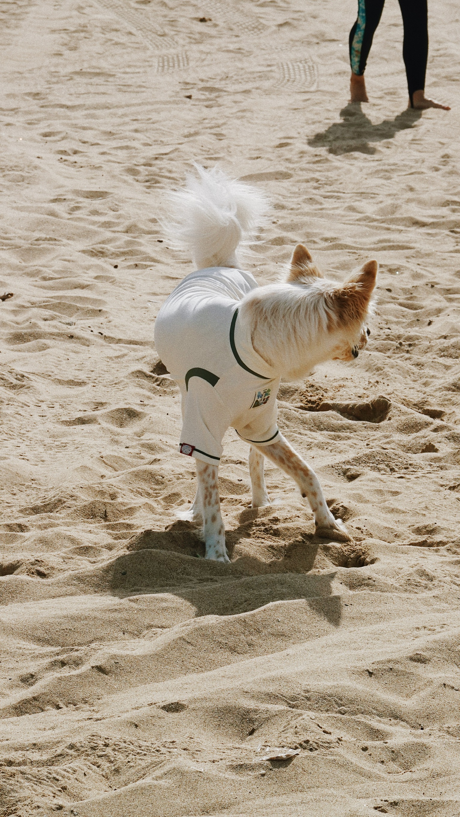 7DABDA7B-A1C4-4FE3-BB7E-DB3F79932AB3