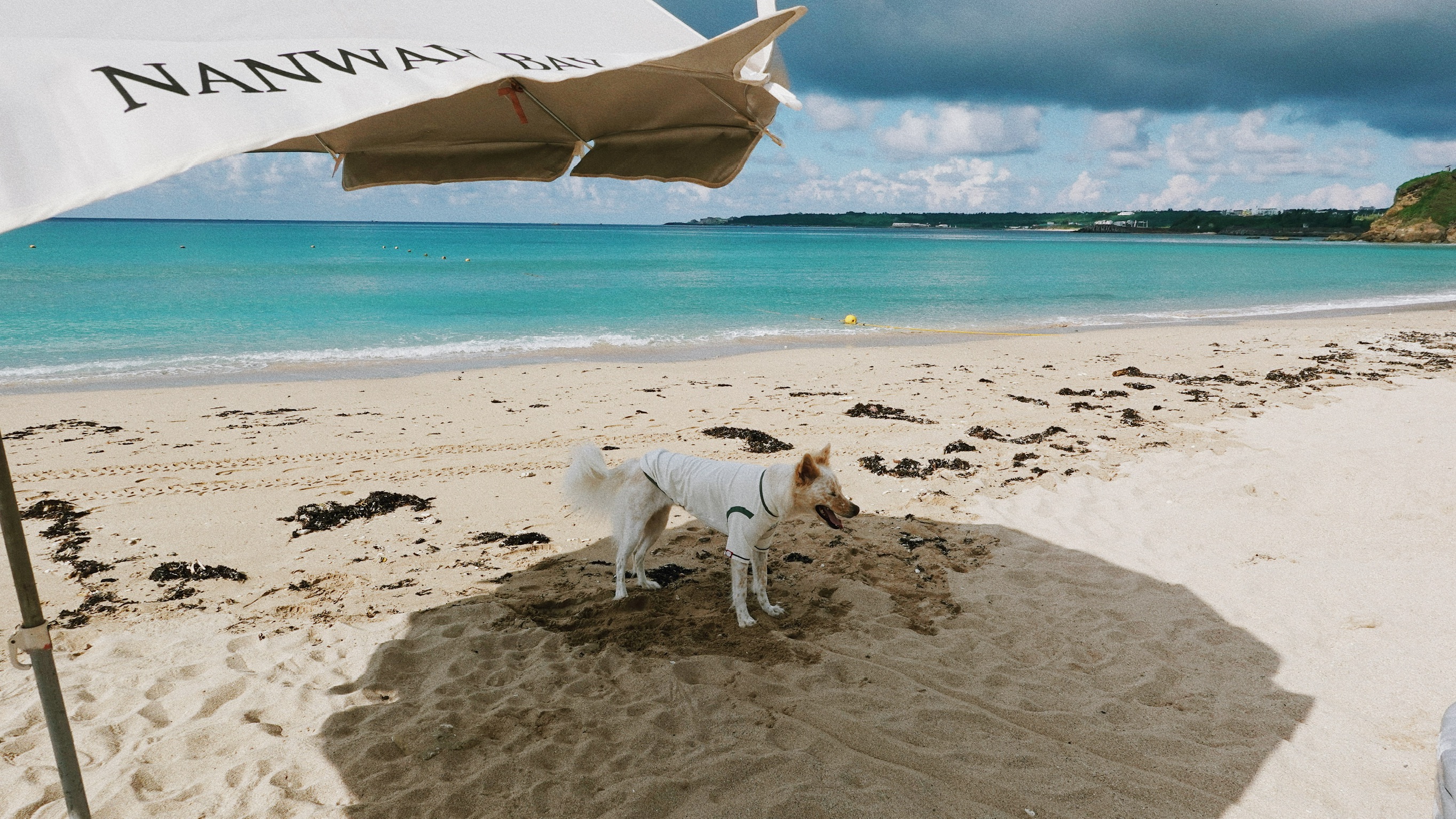 D4B9C265-4CFB-42C1-8CC9-A0C8F928D487