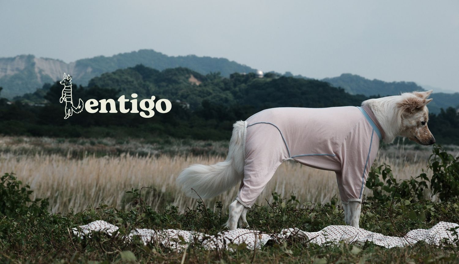 Lentigo 斑點工作室 | 