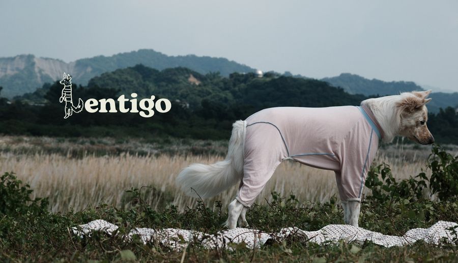 Lentigo 斑點工作室 | 