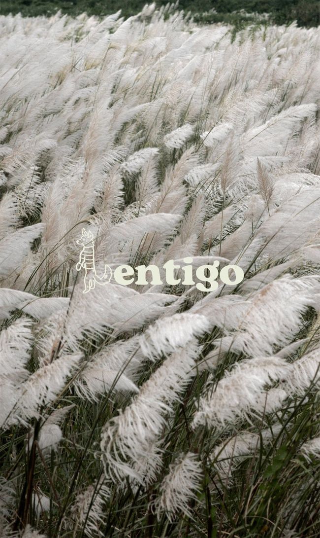 Lentigo 斑點工作室 |  - Bowling Team