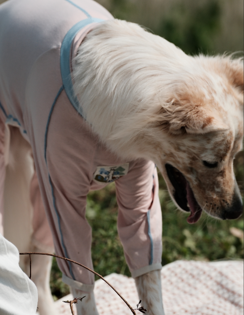 截圖 2025-10-30 下午4.16.22