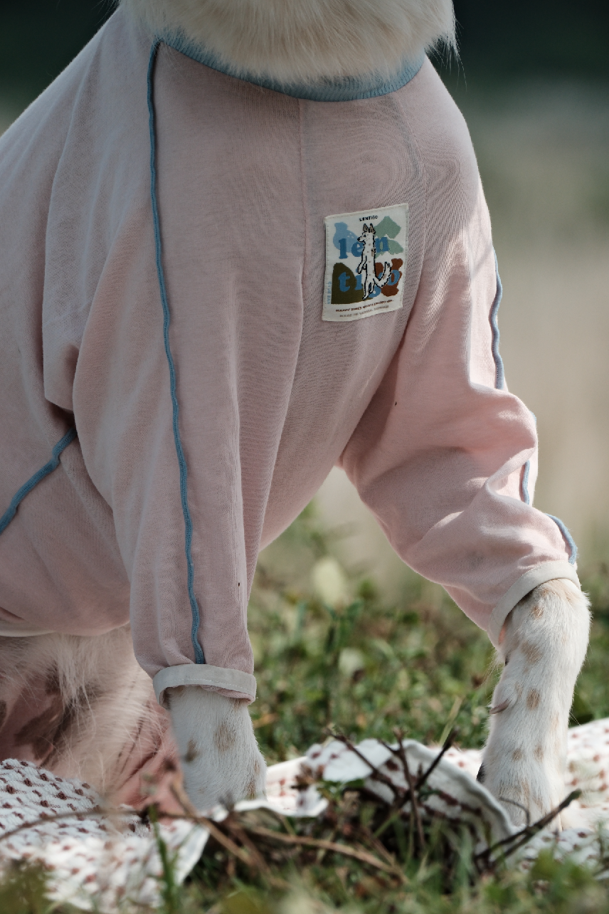 截圖 2025-10-30 下午4.17.29