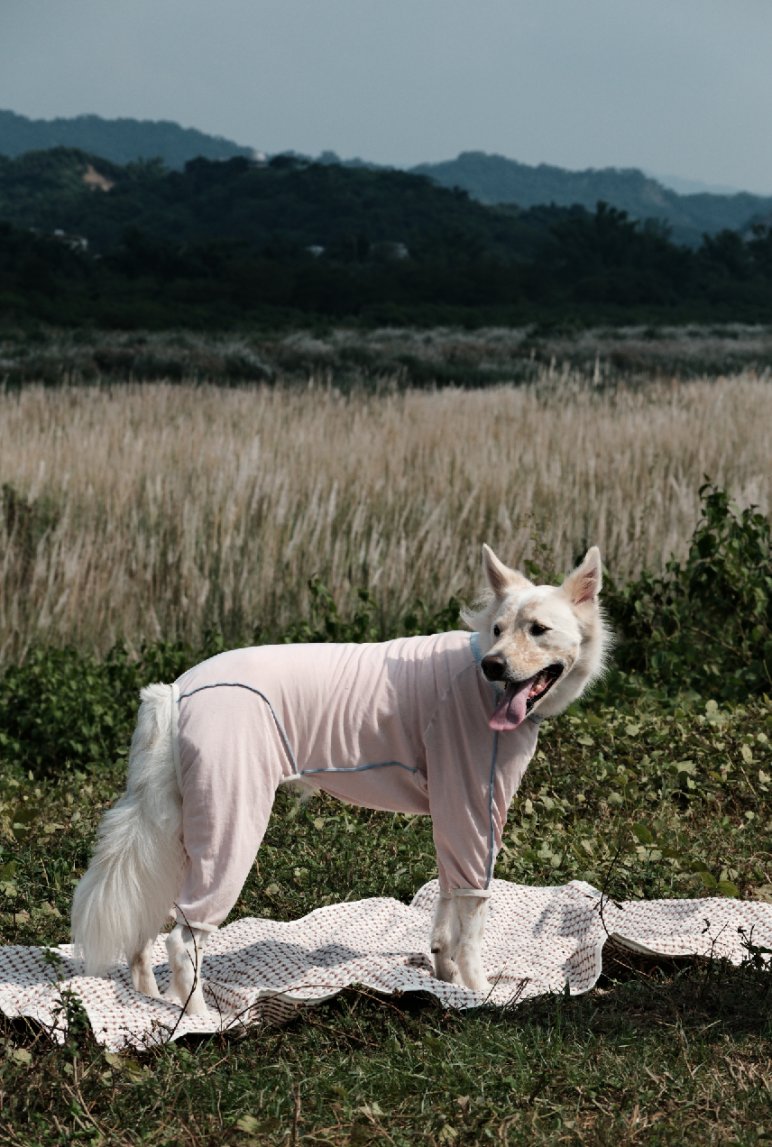 截圖 2025-10-30 下午4.11.25