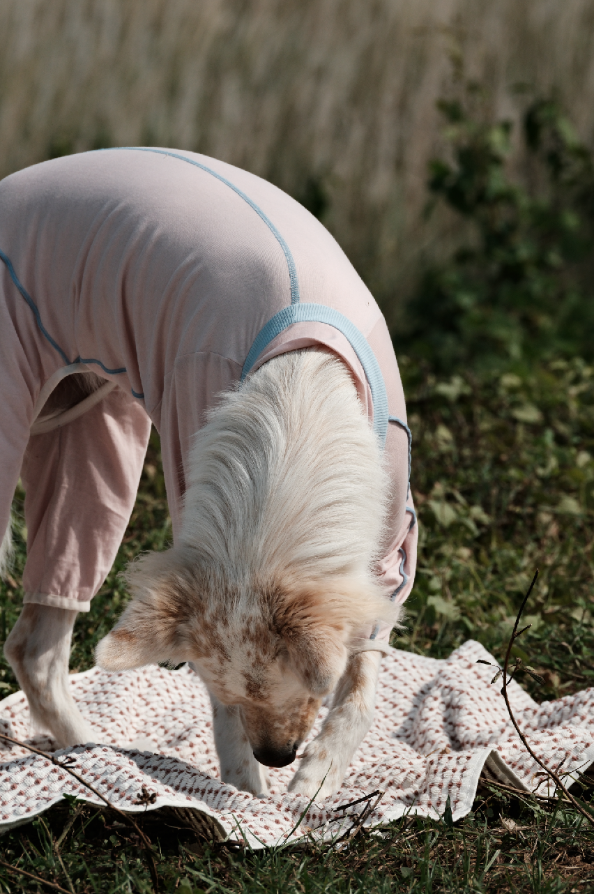 截圖 2025-10-30 下午4.13.16