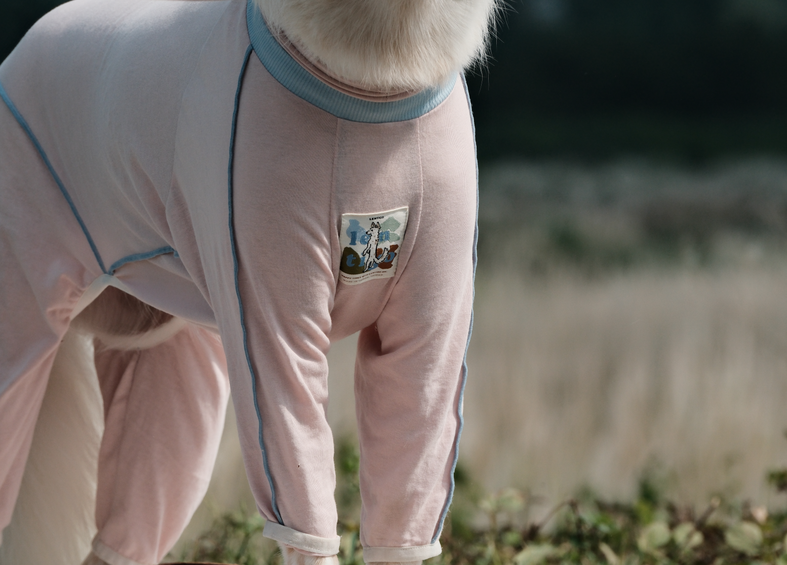 截圖 2025-10-30 下午4.17.13