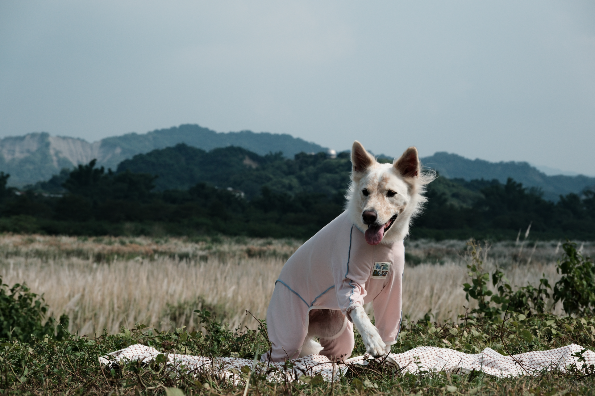 截圖 2025-10-30 下午4.17.04