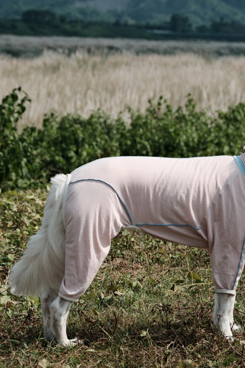 截圖 2025-10-30 下午4.22.16