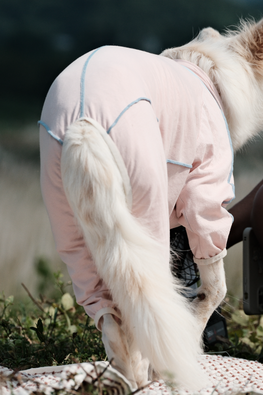 截圖 2025-10-30 下午4.54.09