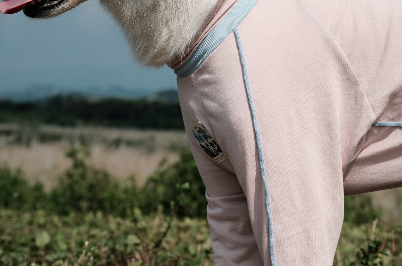 截圖 2025-10-30 下午4.56.48