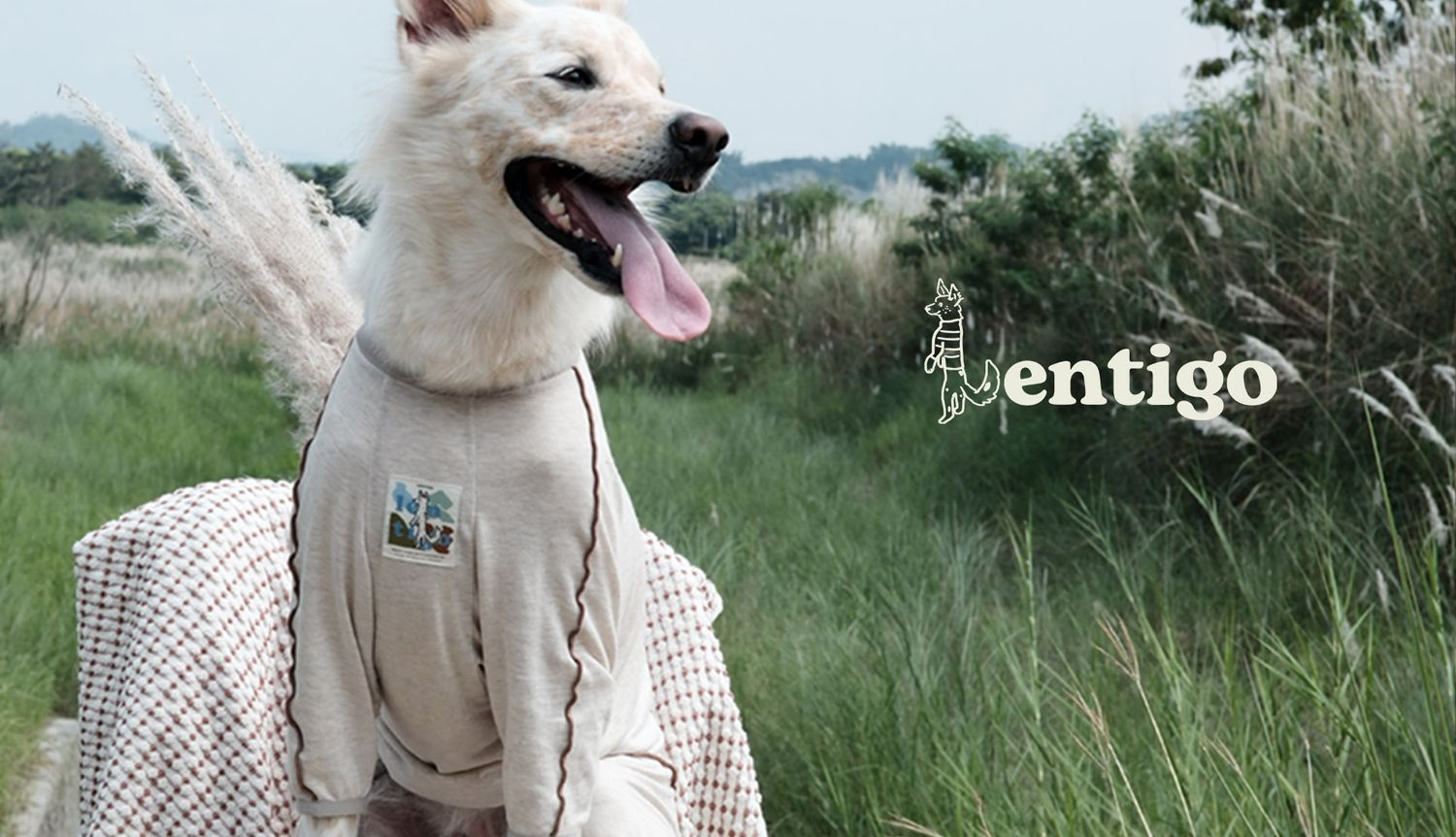 Lentigo 斑點工作室 | 