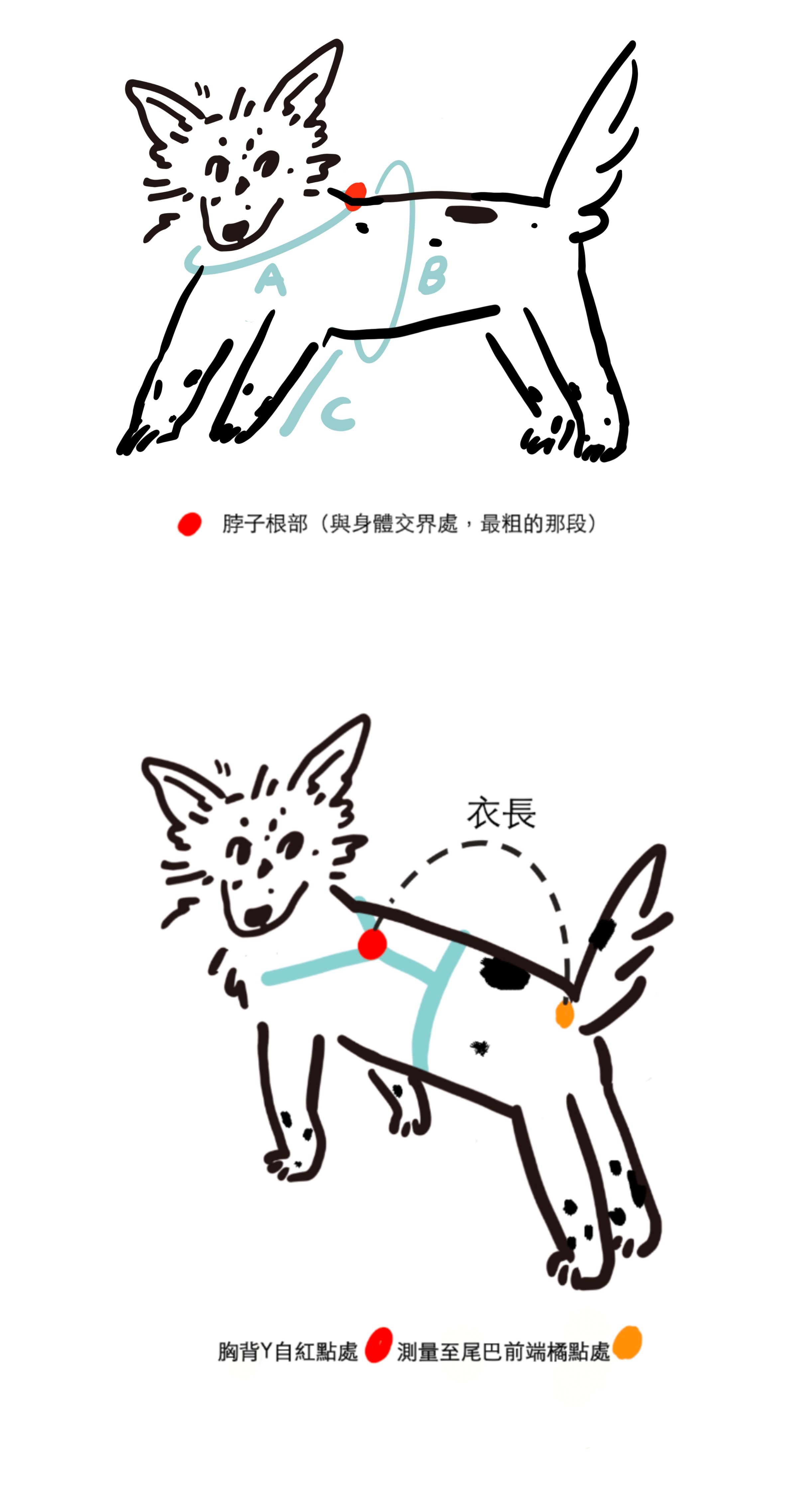 未命名的作品 4