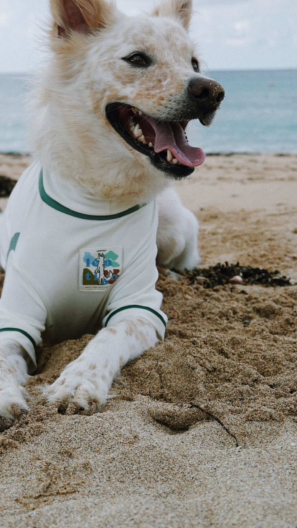 5A41EE8C-4727-458B-B38E-D1F3DA190B78