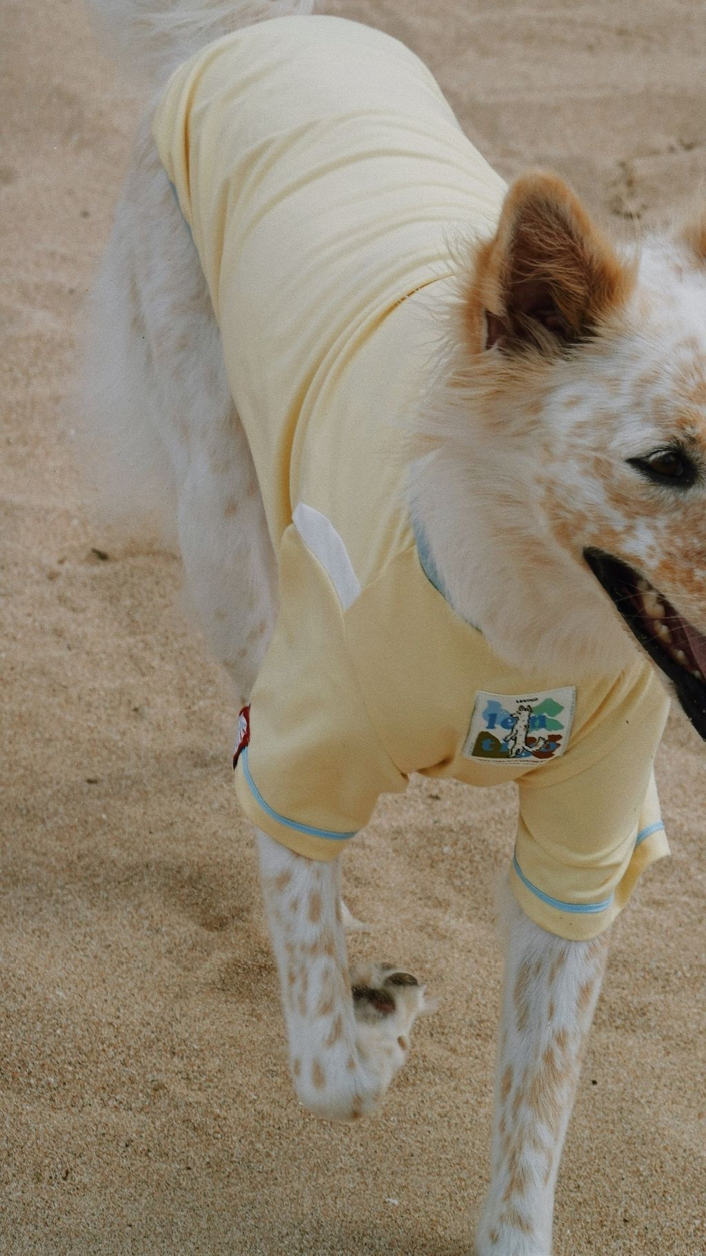 FAA297FE-56A9-4DDC-B11F-83511ED66B7A