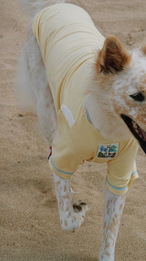 FAA297FE-56A9-4DDC-B11F-83511ED66B7A