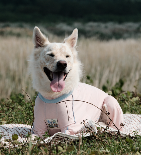 截圖 2025-10-31 清晨5.34.19