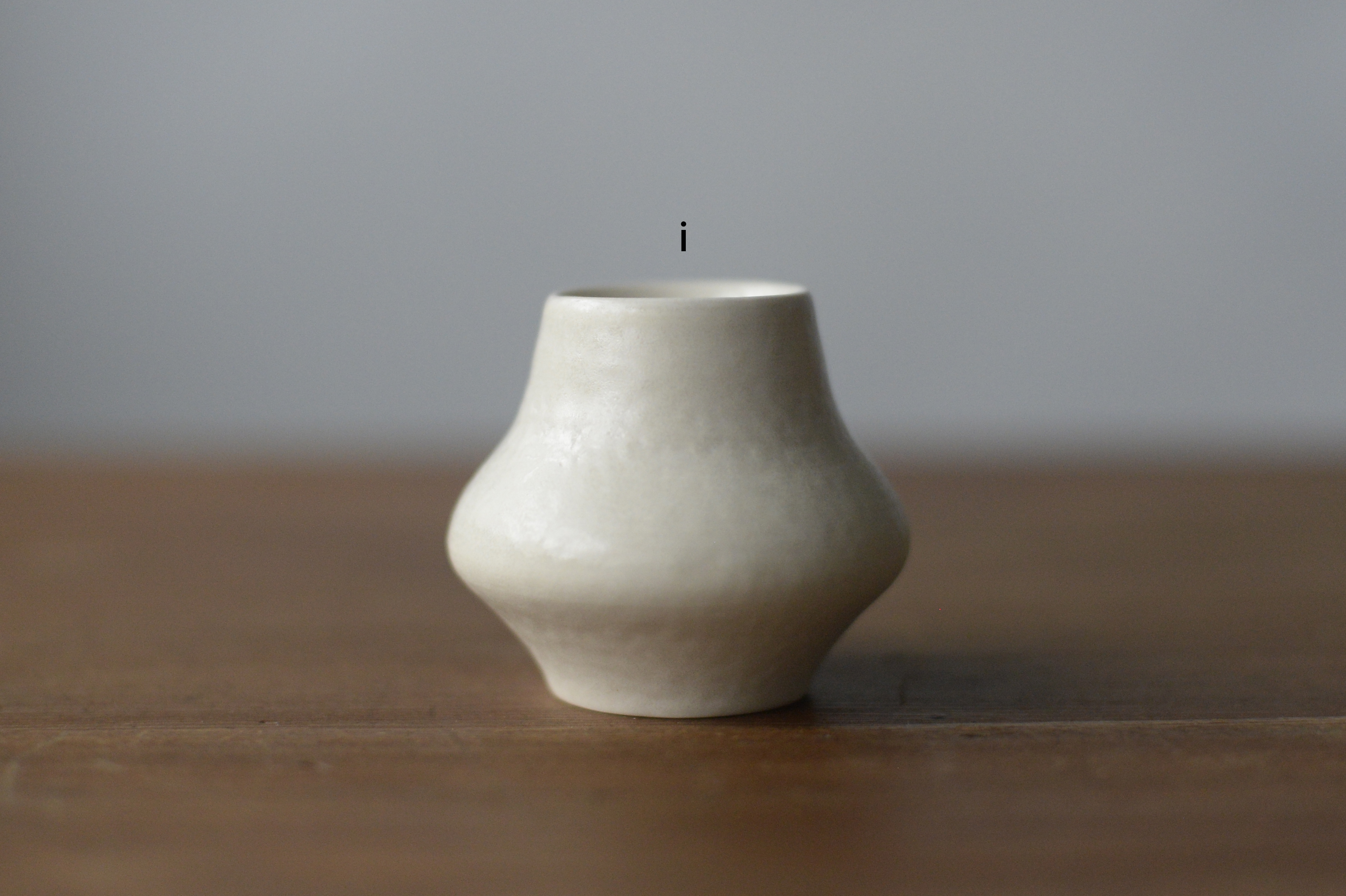s_DSC6616-i