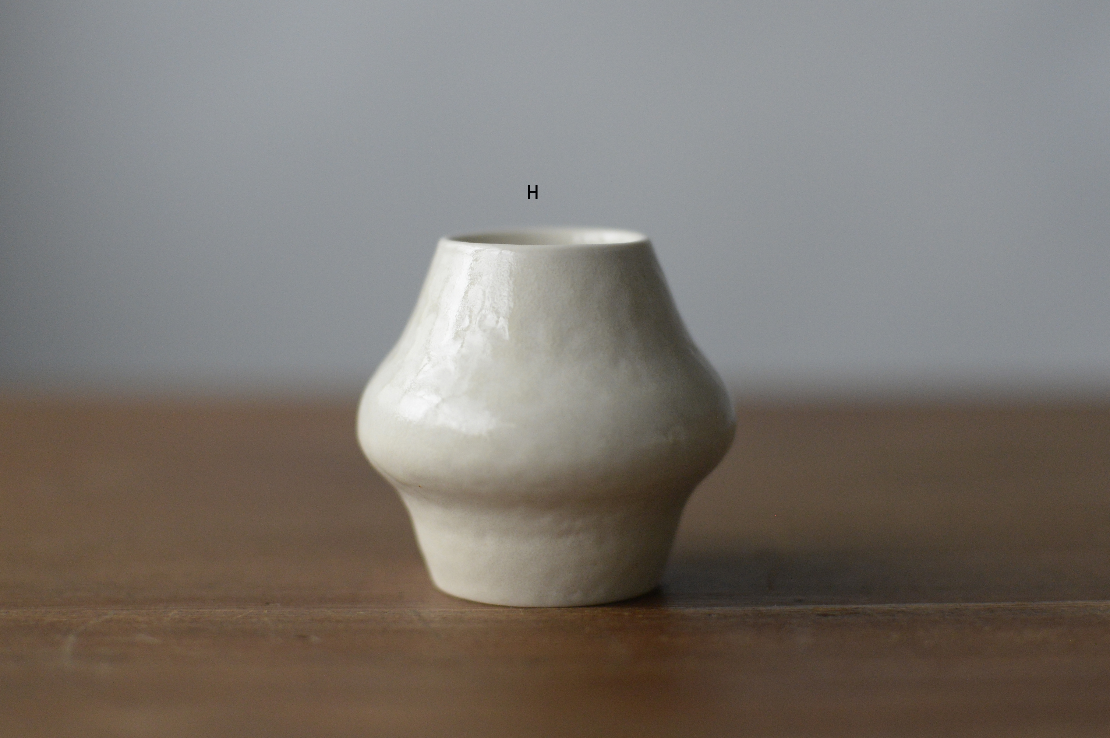s_DSC6614-H
