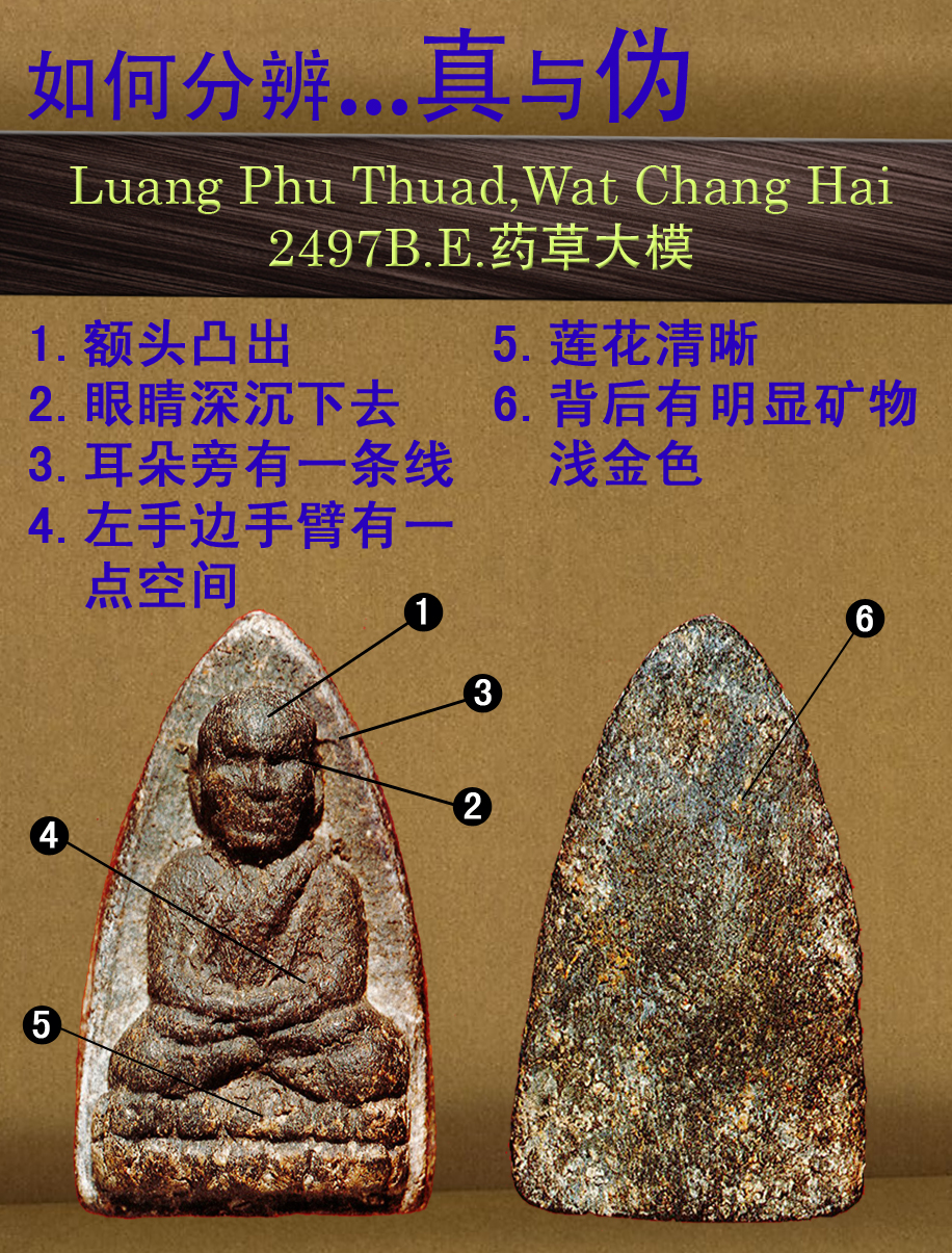 PU THUAD真与伪3(A)(1).jpg