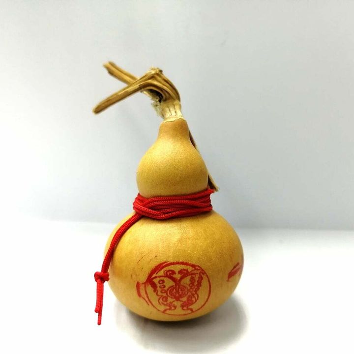 233600828_224921352903013_4515801140281705498_n.jpg