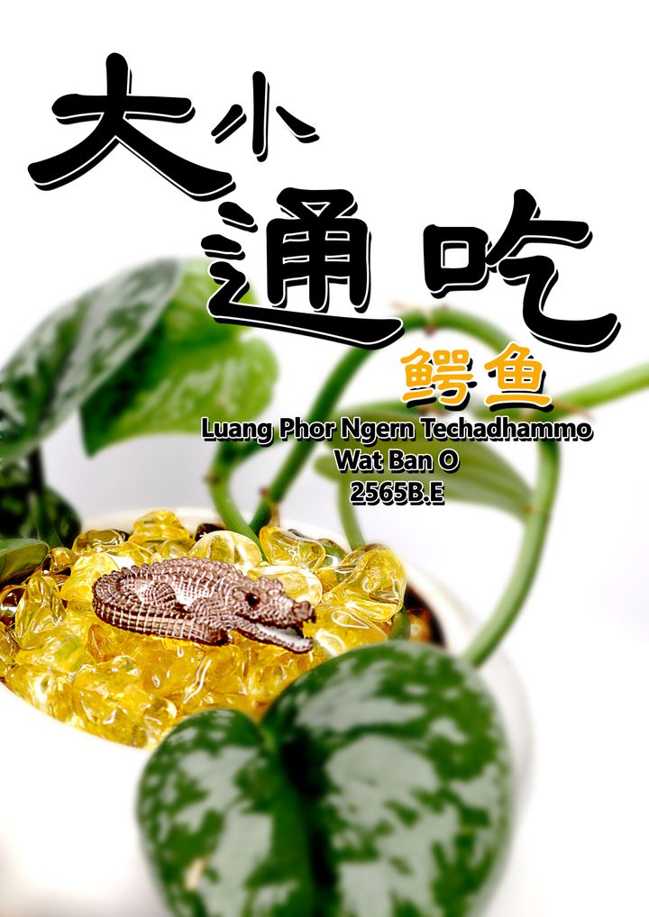 鳄鱼 copy
