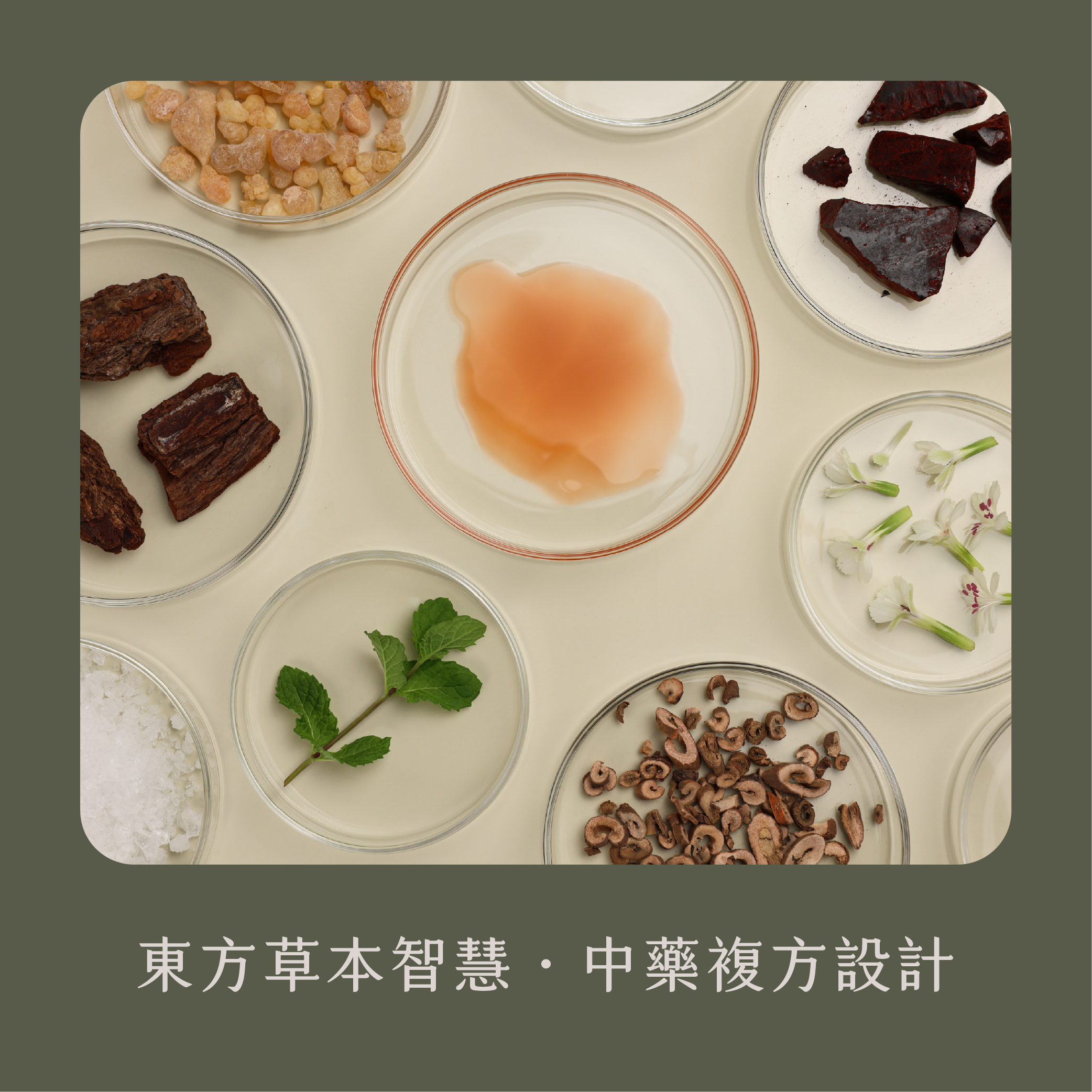 Landing Page 改版綠東陵