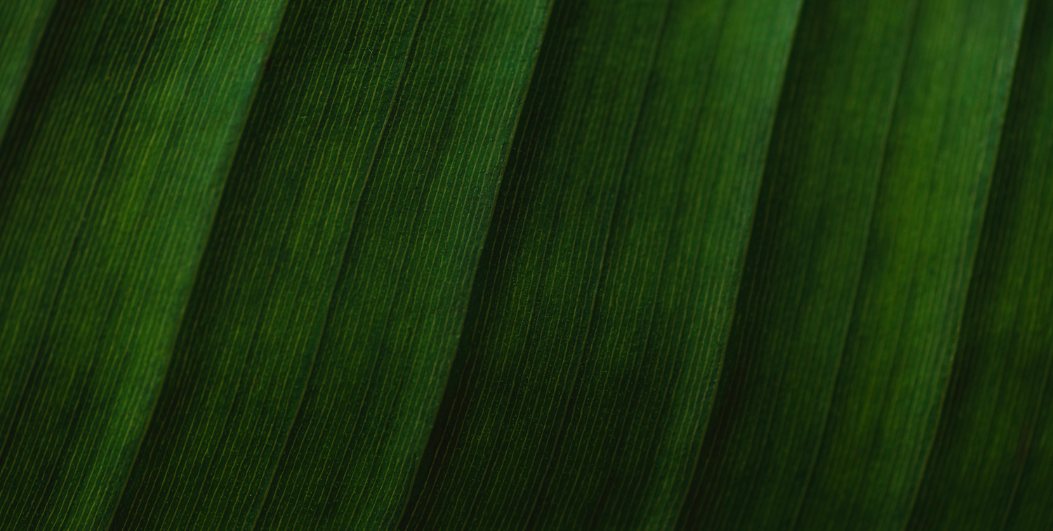 嶼萃 Isle Essence | 首次登入享 9 折優惠