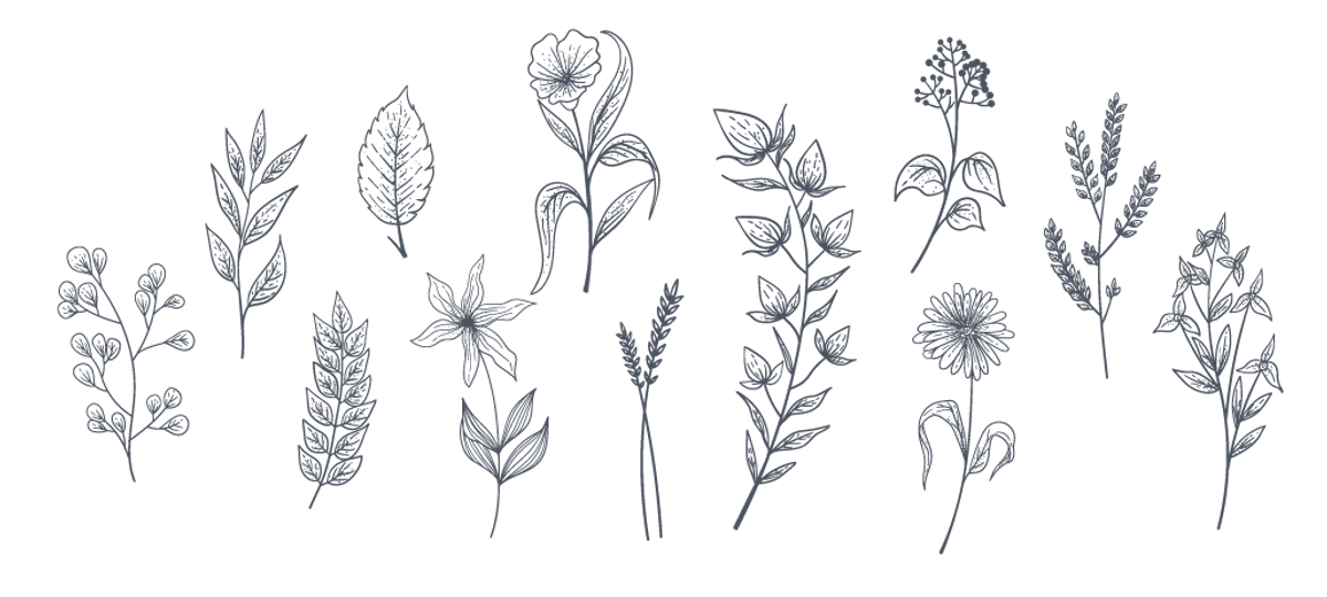 什麼是植化素？